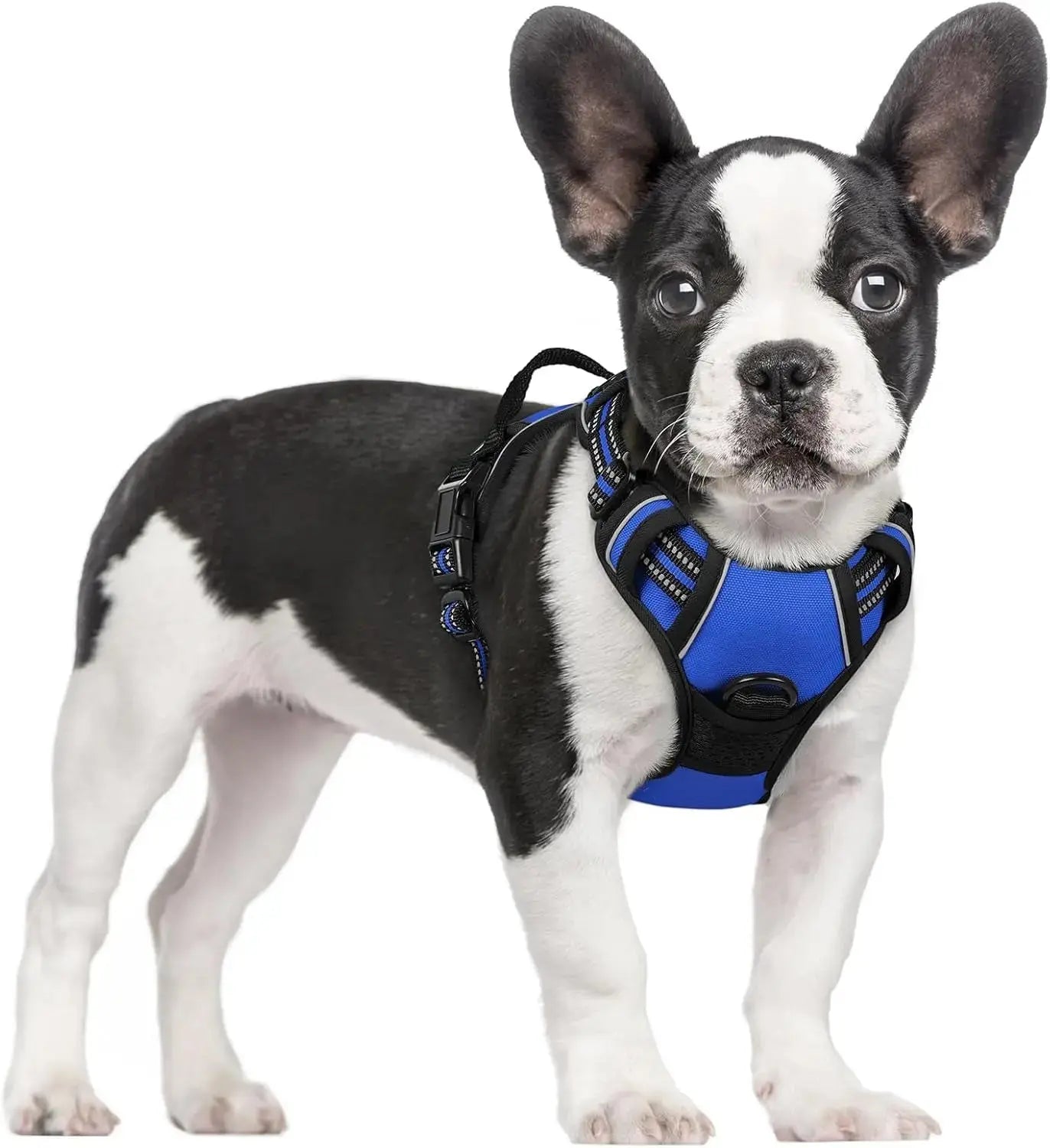 No Pull Dog Harness Reflective Adjustable Oxford Vest Dogs Control (All Sizes) Wags & Whiskers Pet Supply