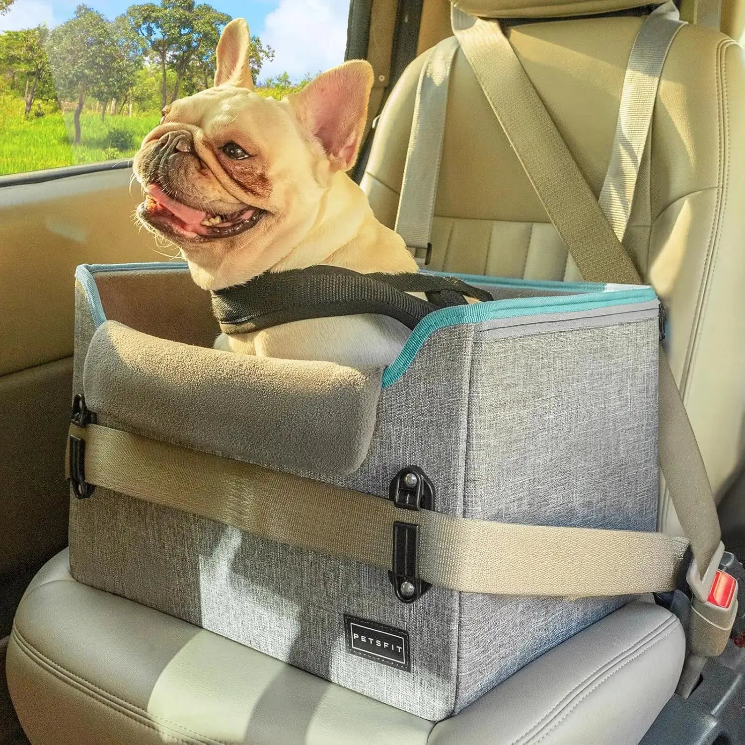 PETSFIT Small Dog Booster Car Seat with Safety Buckles & Tether, Foldable Wags & Whiskers Pet Supply