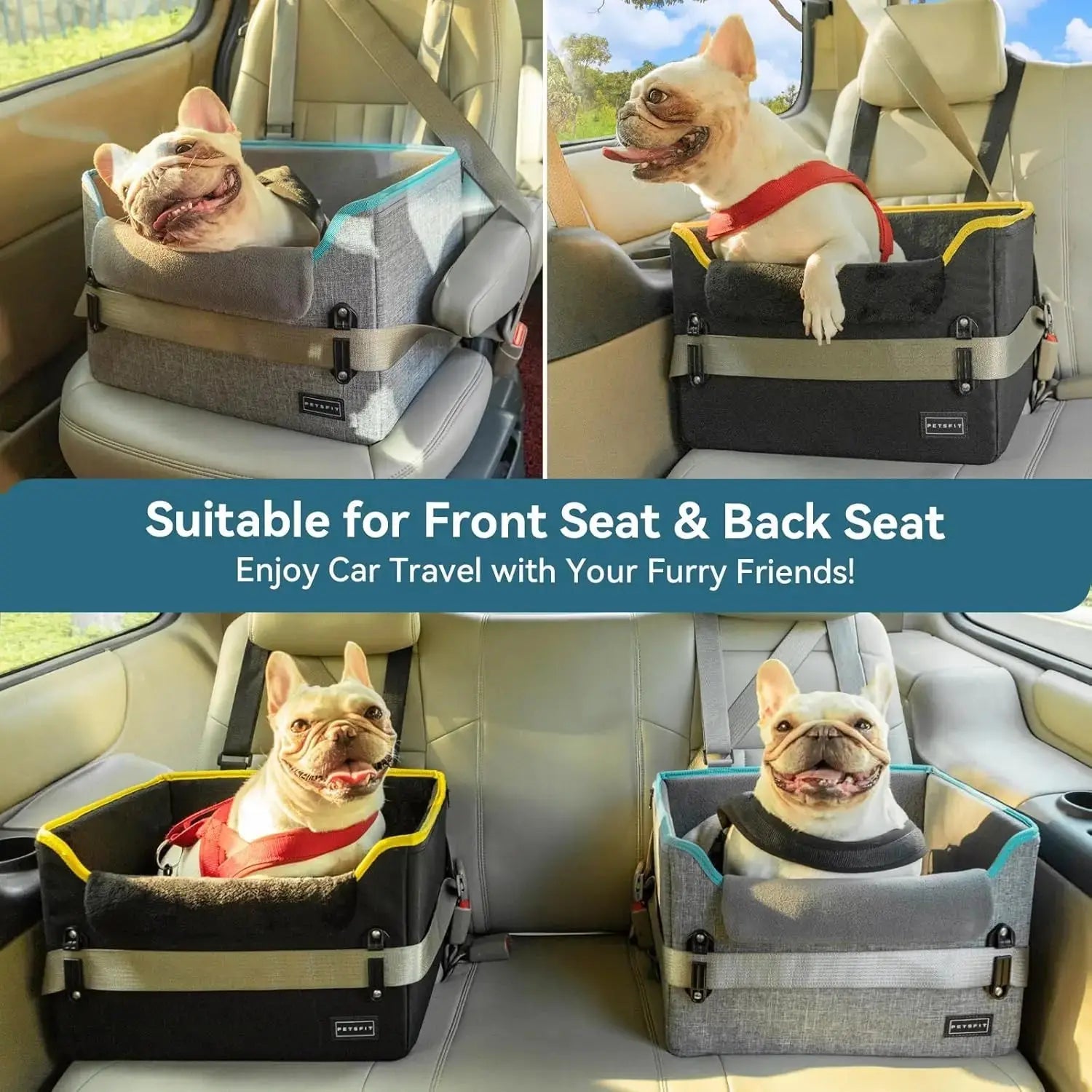 PETSFIT Small Dog Booster Car Seat with Safety Buckles & Tether, Foldable Wags & Whiskers Pet Supply