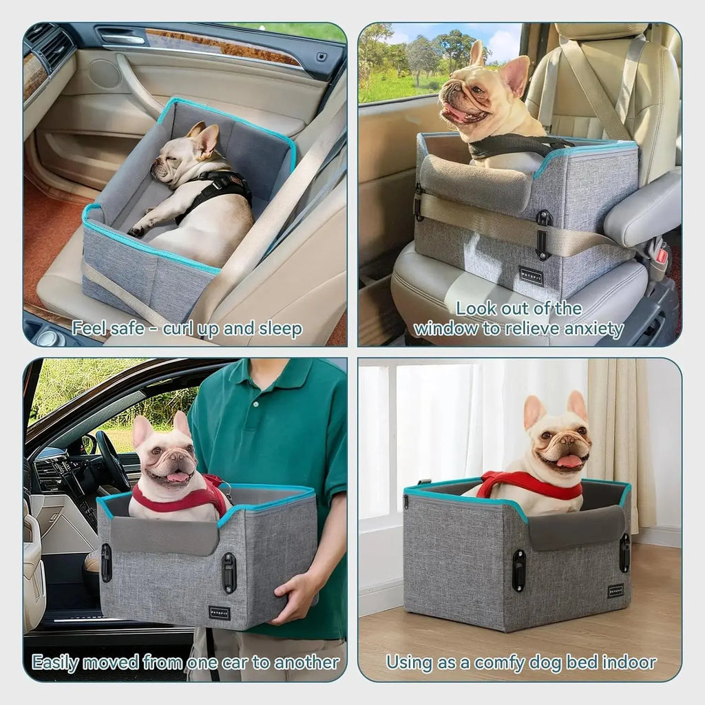 PETSFIT Small Dog Booster Car Seat with Safety Buckles & Tether, Foldable Wags & Whiskers Pet Supply