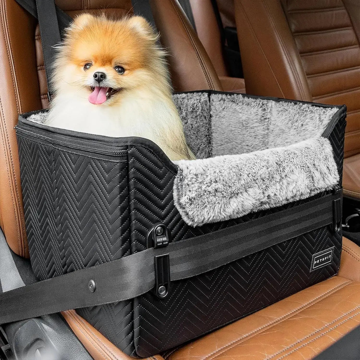 PETSFIT Small Dog Booster Car Seat with Safety Buckles & Tether, Foldable Wags & Whiskers Pet Supply