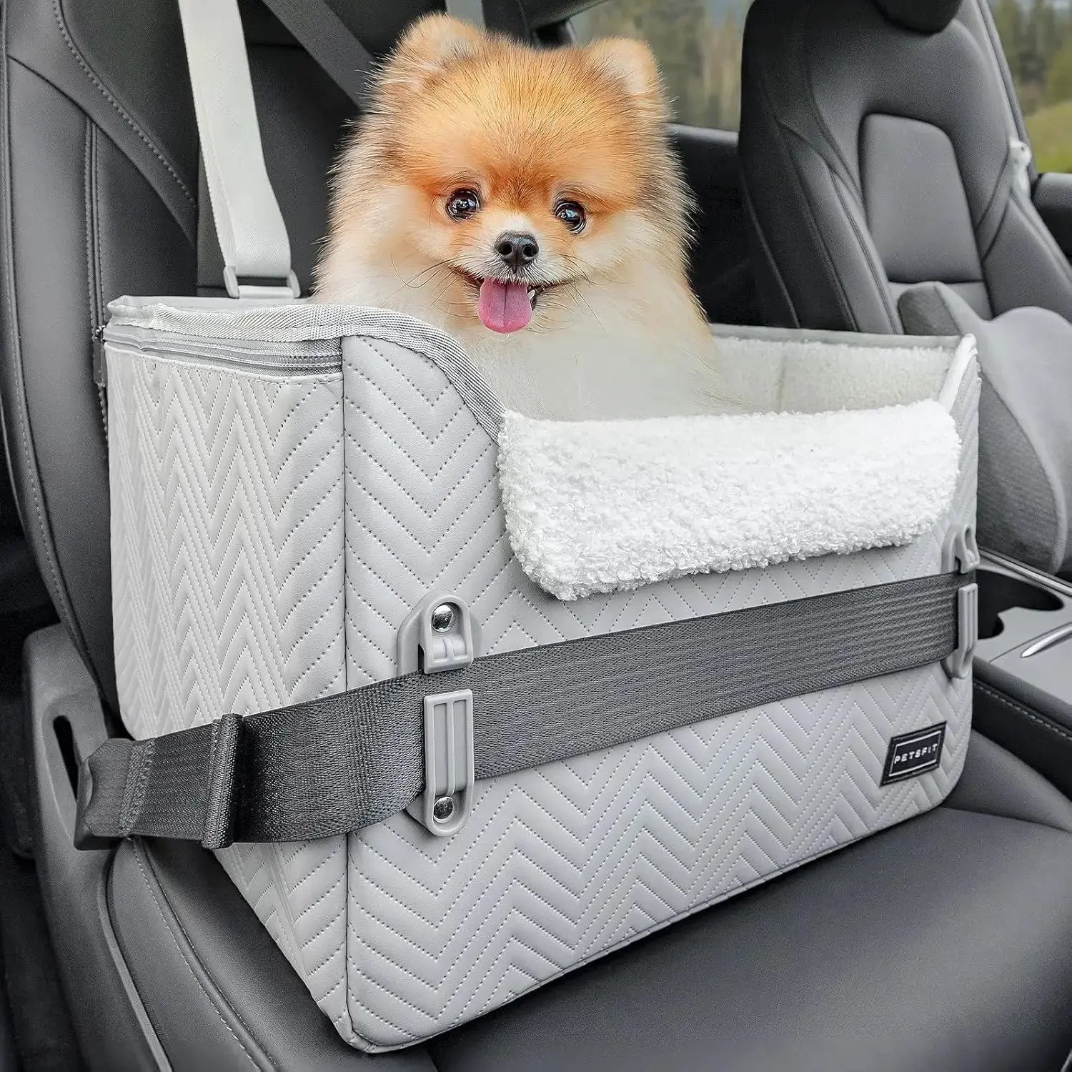 PETSFIT Small Dog Booster Car Seat with Safety Buckles & Tether, Foldable Wags & Whiskers Pet Supply
