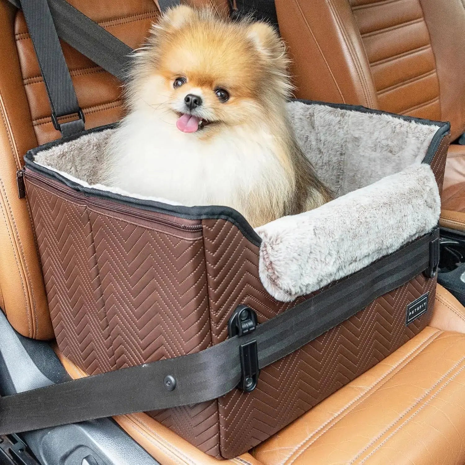 PETSFIT Small Dog Booster Car Seat with Safety Buckles & Tether, Foldable Wags & Whiskers Pet Supply