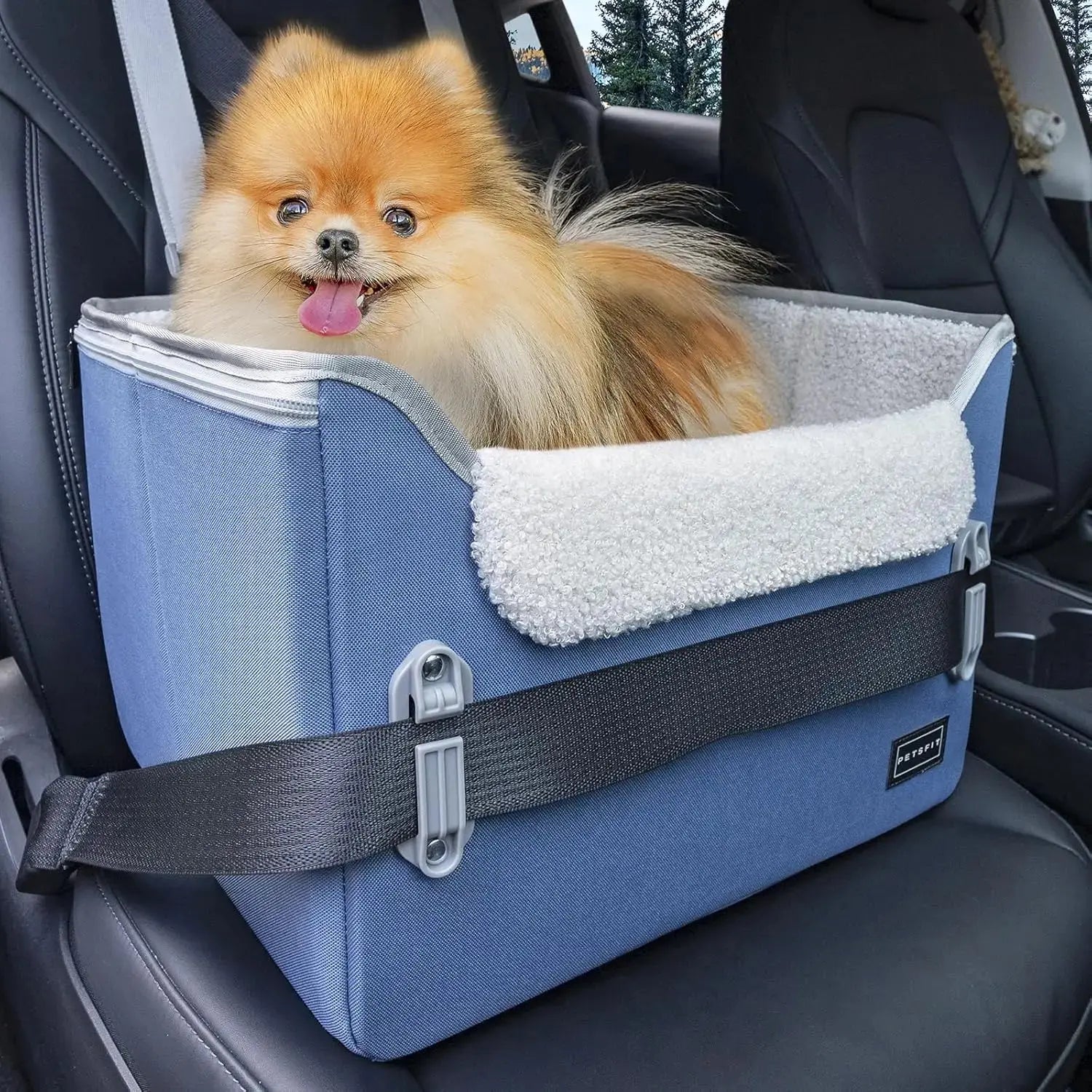 PETSFIT Small Dog Booster Car Seat with Safety Buckles & Tether, Foldable Wags & Whiskers Pet Supply