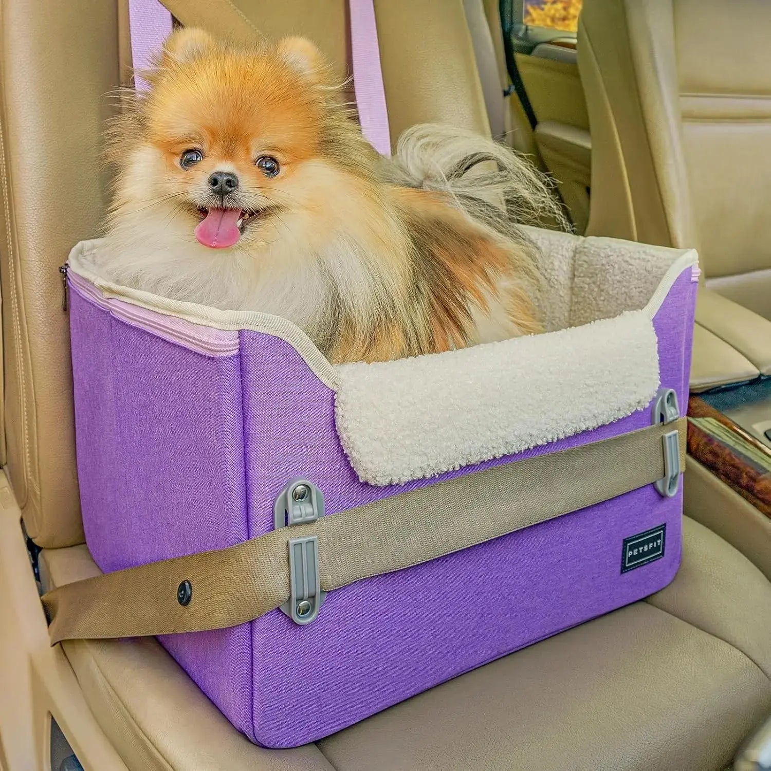 PETSFIT Small Dog Booster Car Seat with Safety Buckles & Tether, Foldable Wags & Whiskers Pet Supply