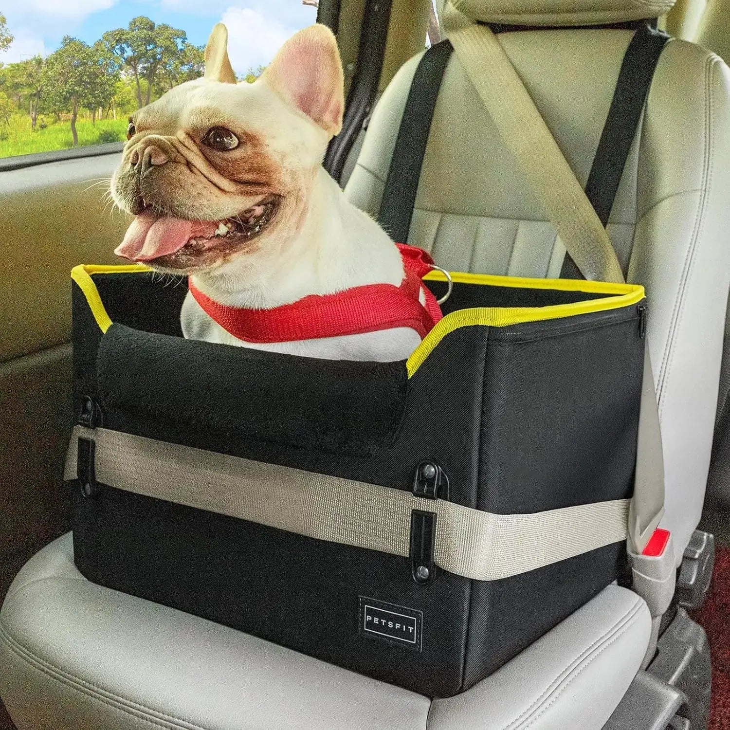 PETSFIT Small Dog Booster Car Seat with Safety Buckles & Tether, Foldable Wags & Whiskers Pet Supply