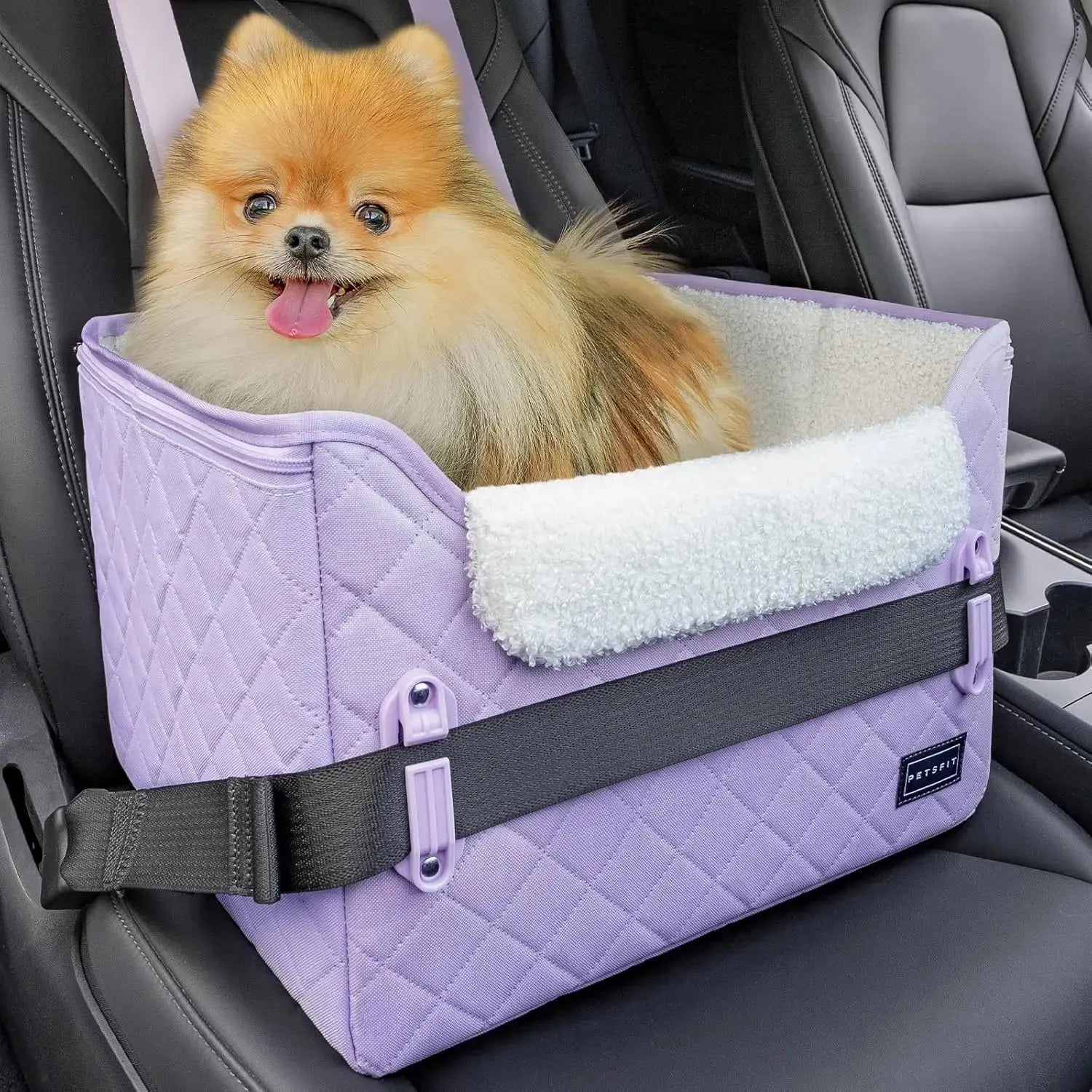 PETSFIT Small Dog Booster Car Seat with Safety Buckles & Tether, Foldable Wags & Whiskers Pet Supply