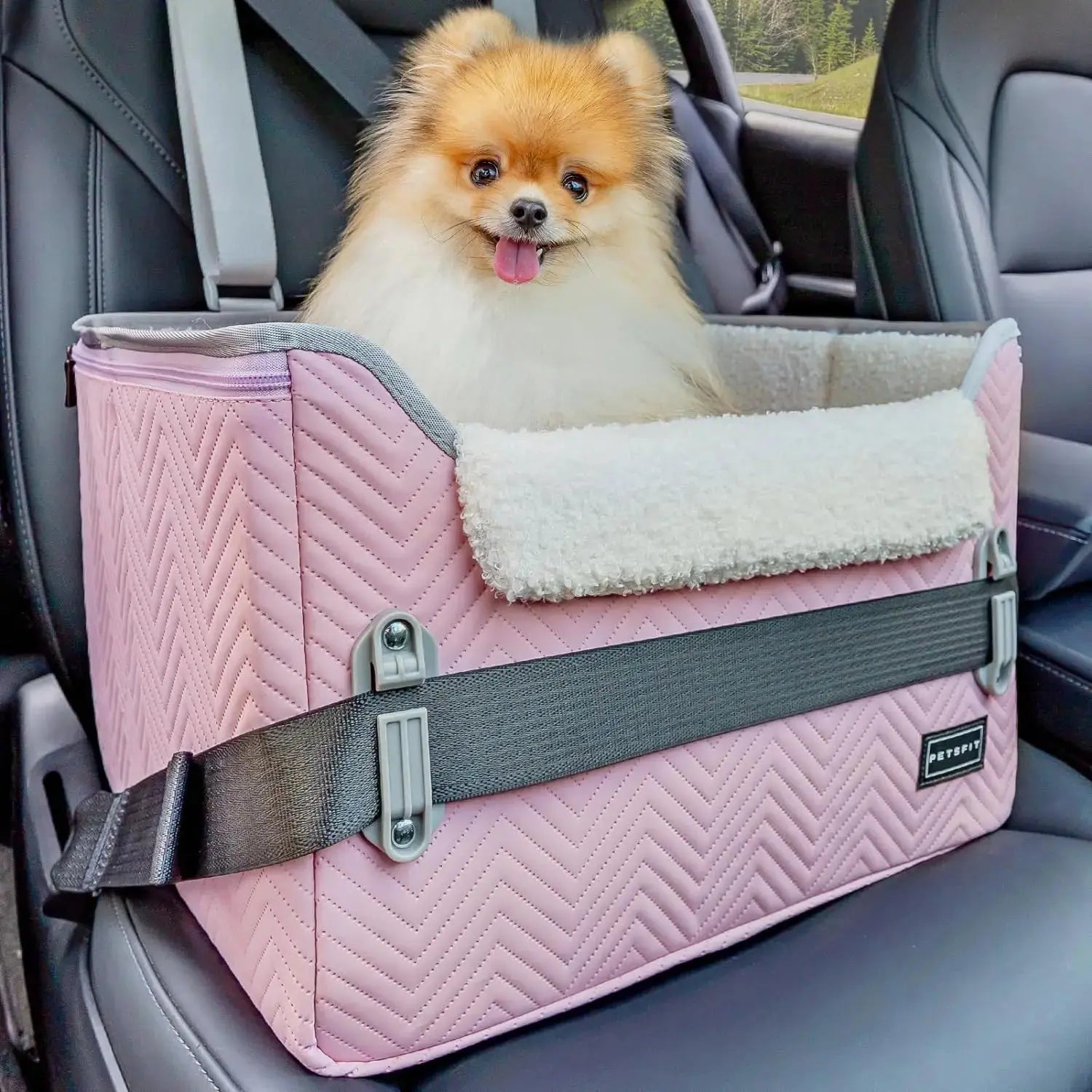 PETSFIT Small Dog Booster Car Seat with Safety Buckles & Tether, Foldable Wags & Whiskers Pet Supply