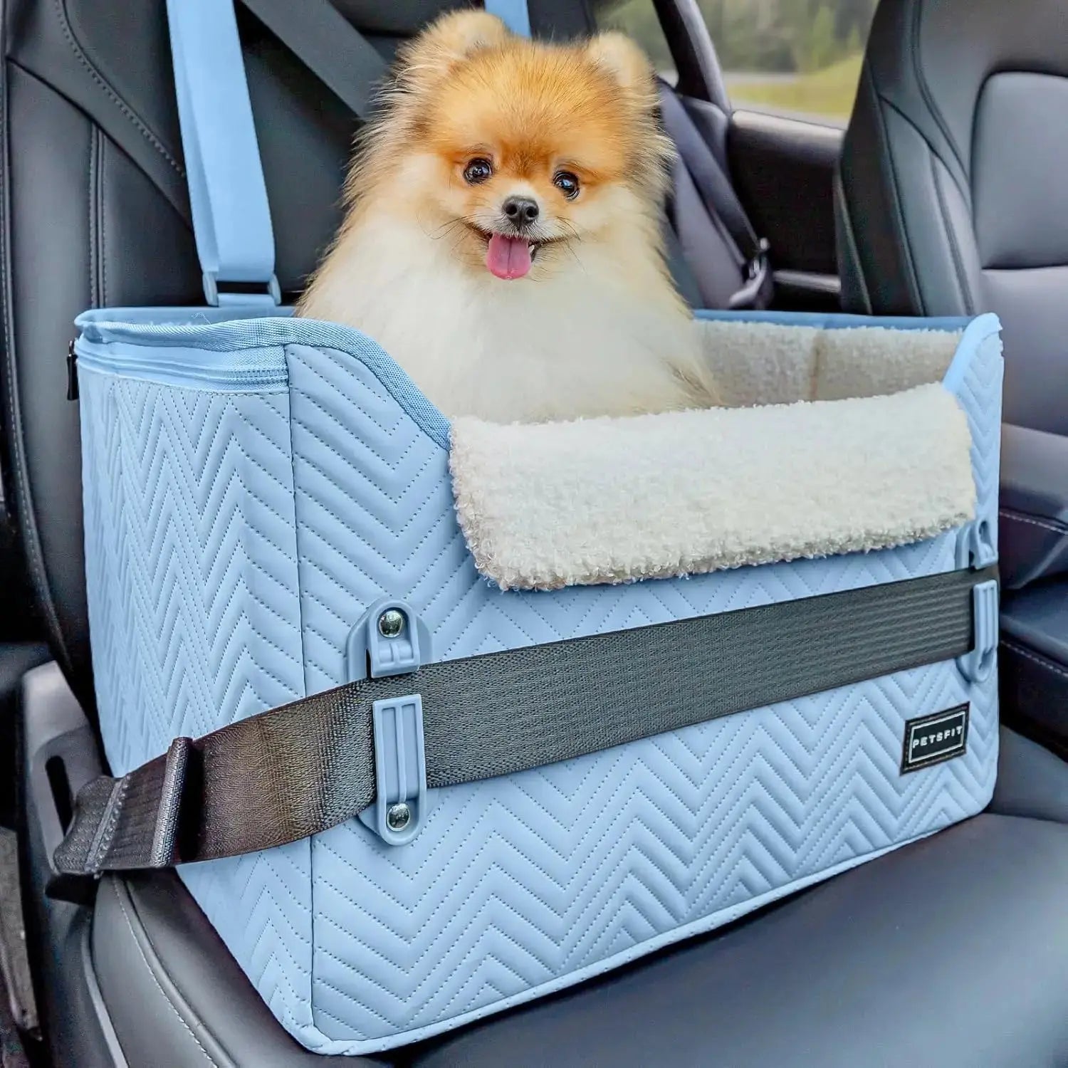 PETSFIT Small Dog Booster Car Seat with Safety Buckles & Tether, Foldable Wags & Whiskers Pet Supply