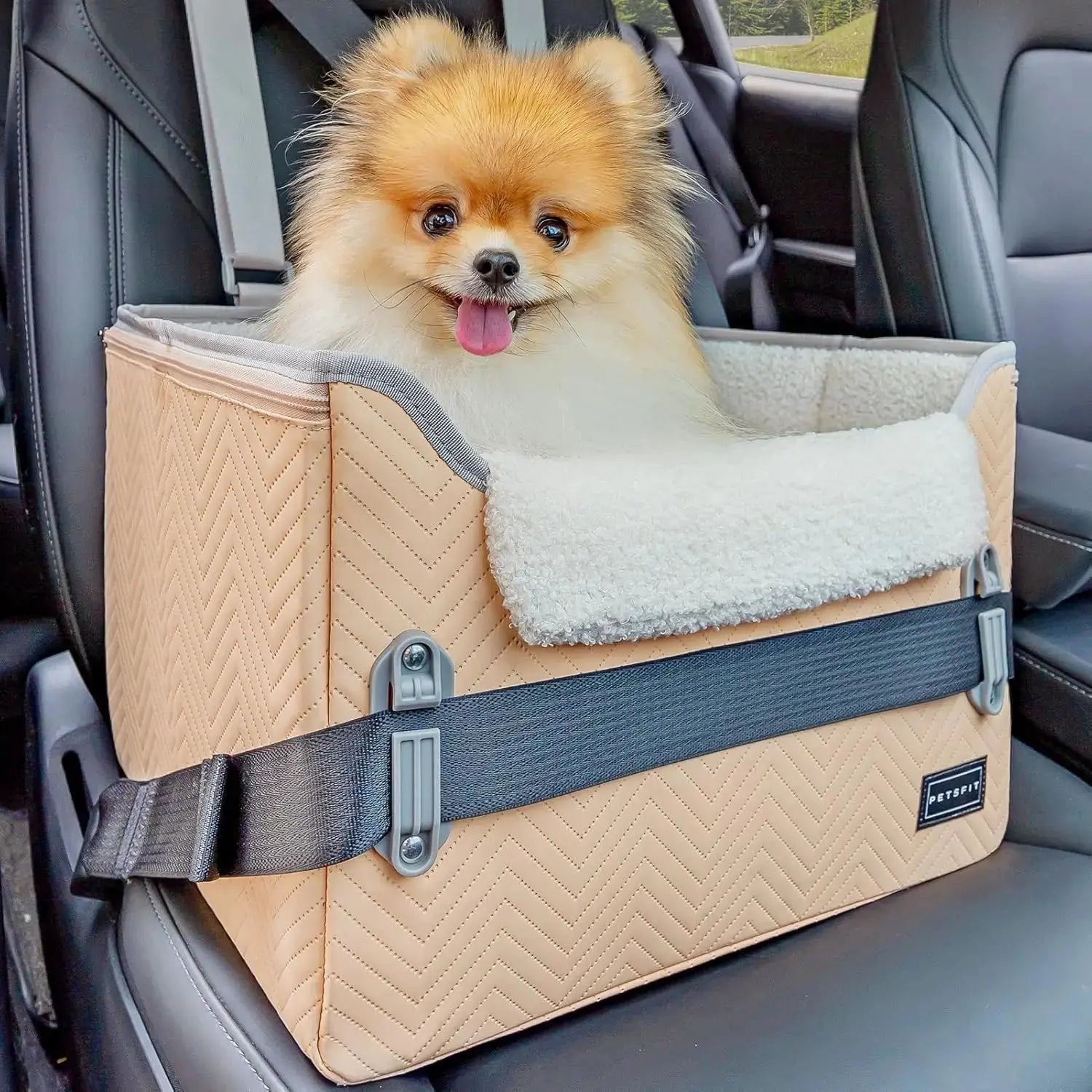 PETSFIT Small Dog Booster Car Seat with Safety Buckles & Tether, Foldable Wags & Whiskers Pet Supply