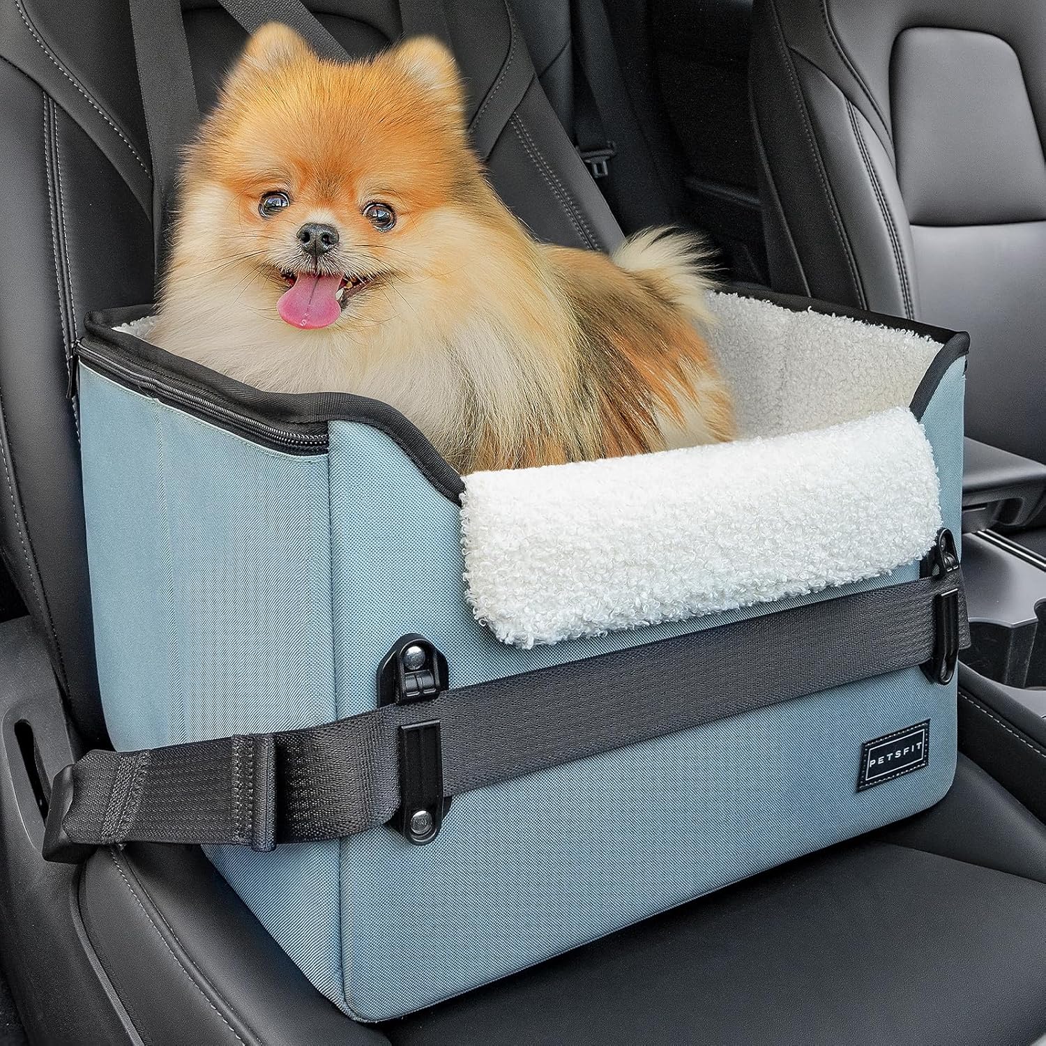 PETSFIT Small Dog Booster Car Seat with Safety Buckles & Tether, Foldable Wags & Whiskers Pet Supply