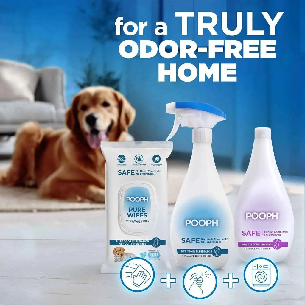 POOPH Pet Odor Eliminator Spray, 32 oz Fragrance-Free - FurrBaby Necessities