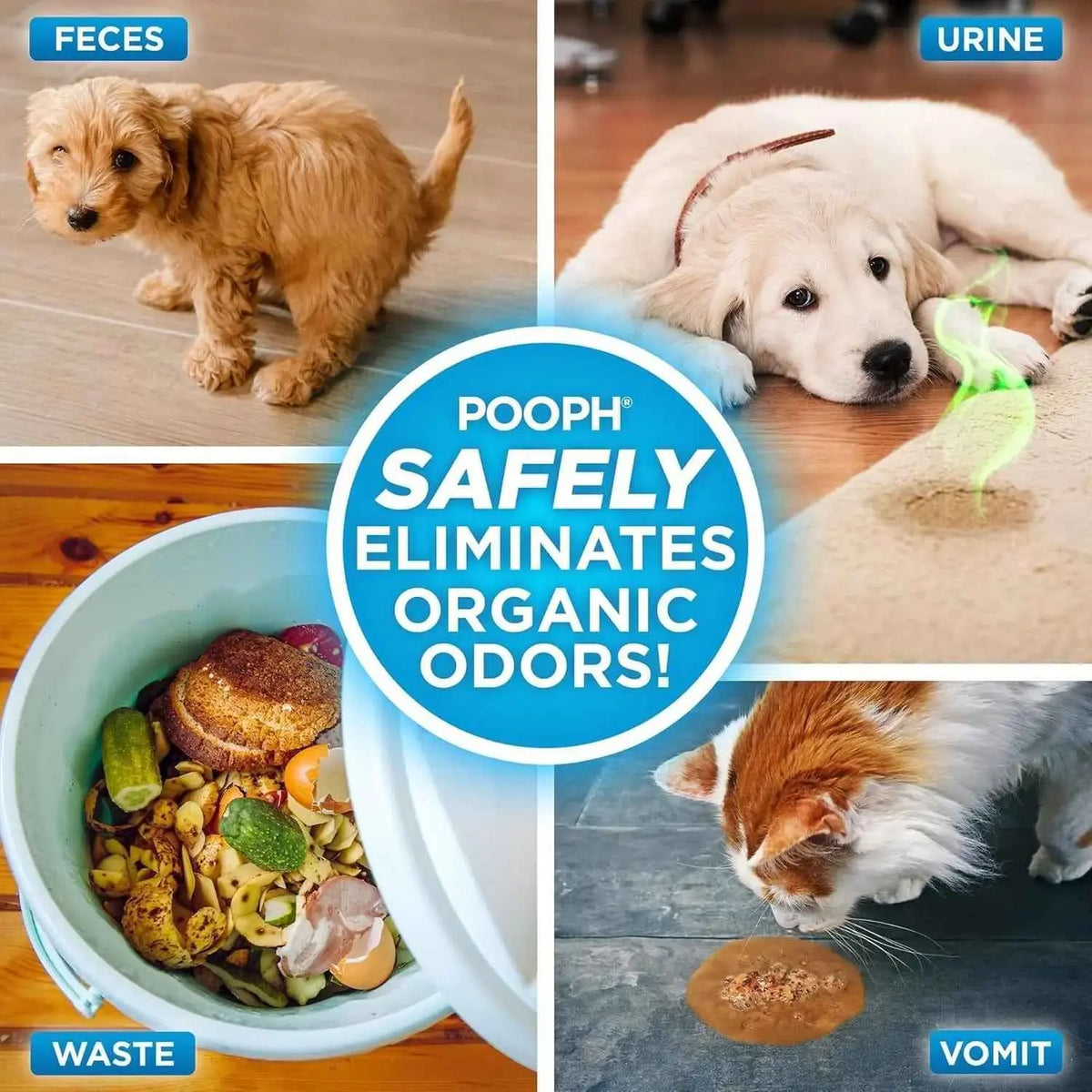 POOPH Pet Odor Eliminator Spray, 32 oz Fragrance-Free - FurrBaby Necessities