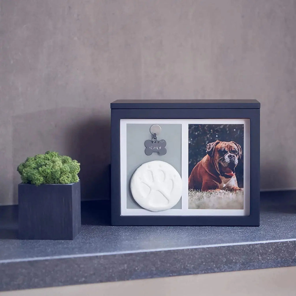 Pet Memorial Urn Keepsake Box for Dogs & Cats w/ Paw Print Kit & Album Wags & Whiskers Pet Supply
