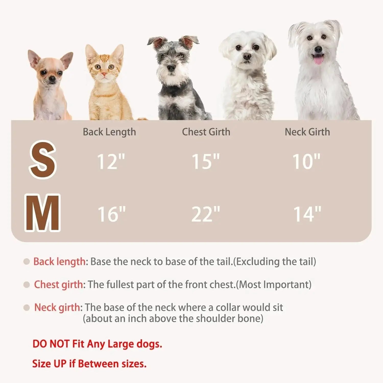 Plaid Dog Polo Shirt Soft Pet Outfit for Small & Medium Dogs and Cats Wags & Whiskers Pet Supply