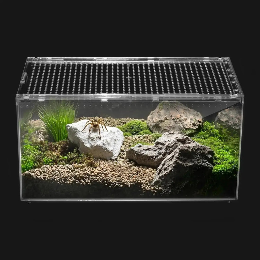 Reptile PC Terrarium Starter Kit Enclosure for Spiders, Geckos & Insects by Wags & Whiskers Pet Supply
