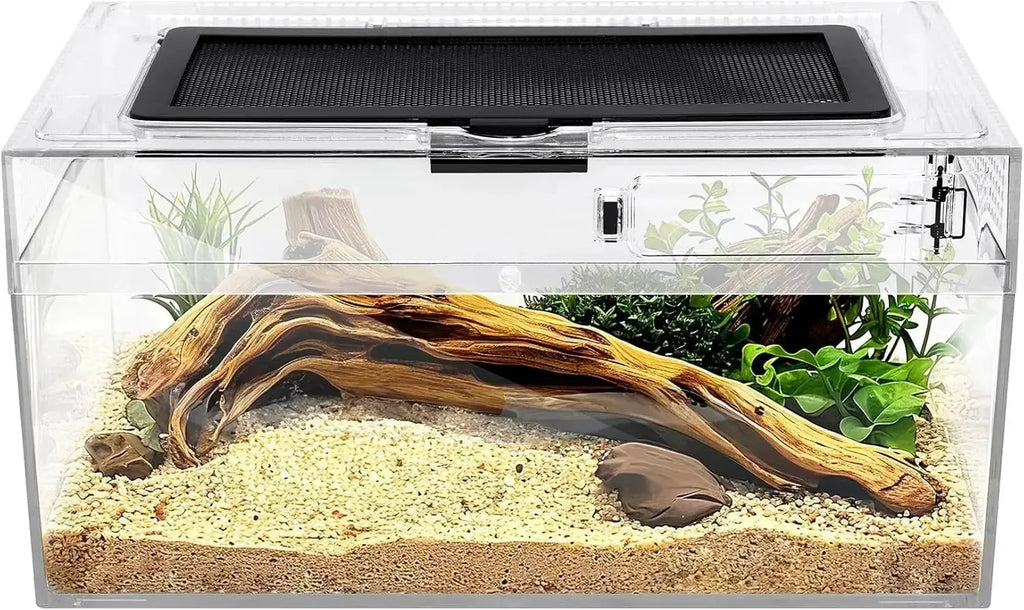 Reptile PC Terrarium Starter Kit Enclosure for Spiders, Geckos & Insects by Wags & Whiskers Pet Supply