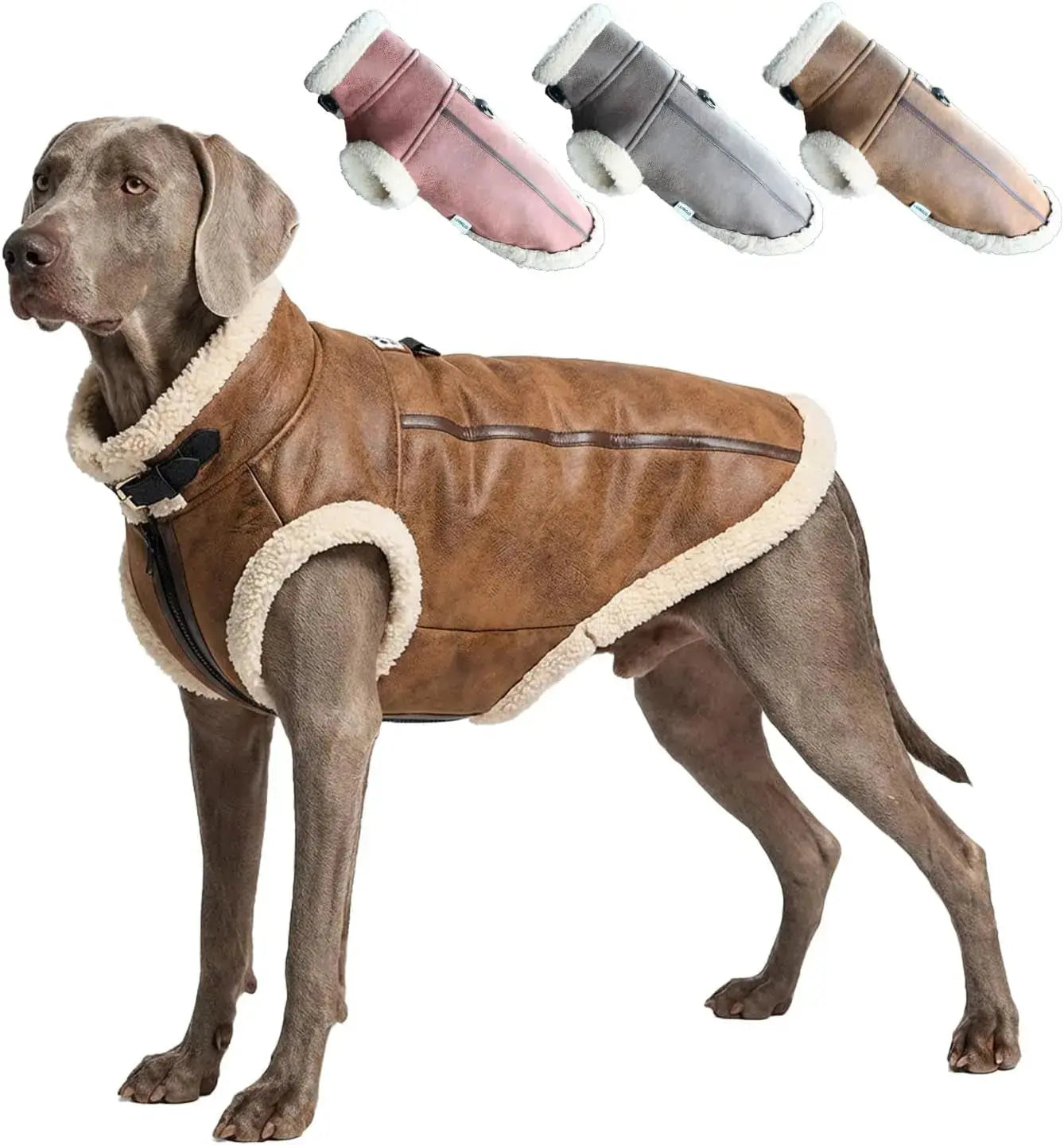 Retro Aviator Dog Jacket Faux Leather Sherpa Coat XS-3XL Winter Wags & Whiskers Pet Supply