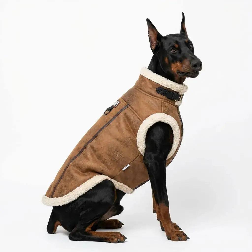 Retro Aviator Dog Jacket Faux Leather Sherpa Coat XS-3XL Winter Wags & Whiskers Pet Supply