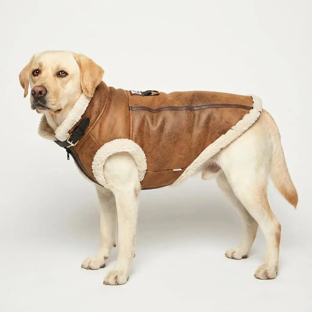 Retro Aviator Dog Jacket Faux Leather Sherpa Coat XS-3XL Winter Wags & Whiskers Pet Supply