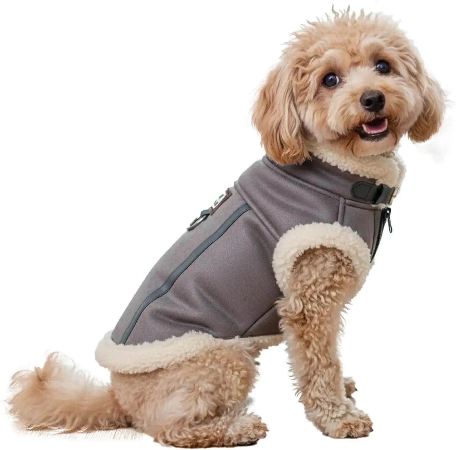 Retro Aviator Dog Jacket Faux Leather Sherpa Coat XS-3XL Winter Wags & Whiskers Pet Supply