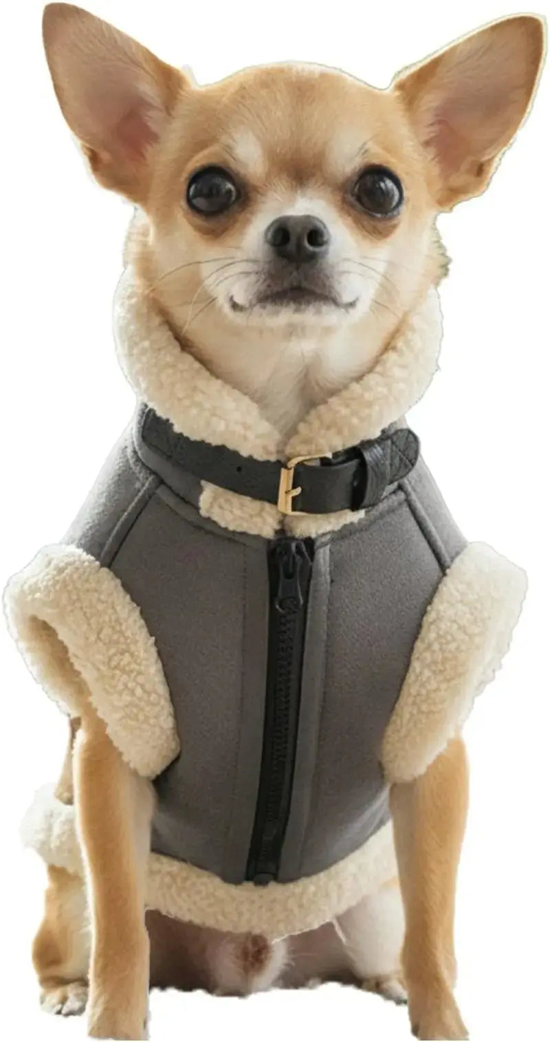 Retro Aviator Dog Jacket Faux Leather Sherpa Coat XS-3XL Winter Wags & Whiskers Pet Supply
