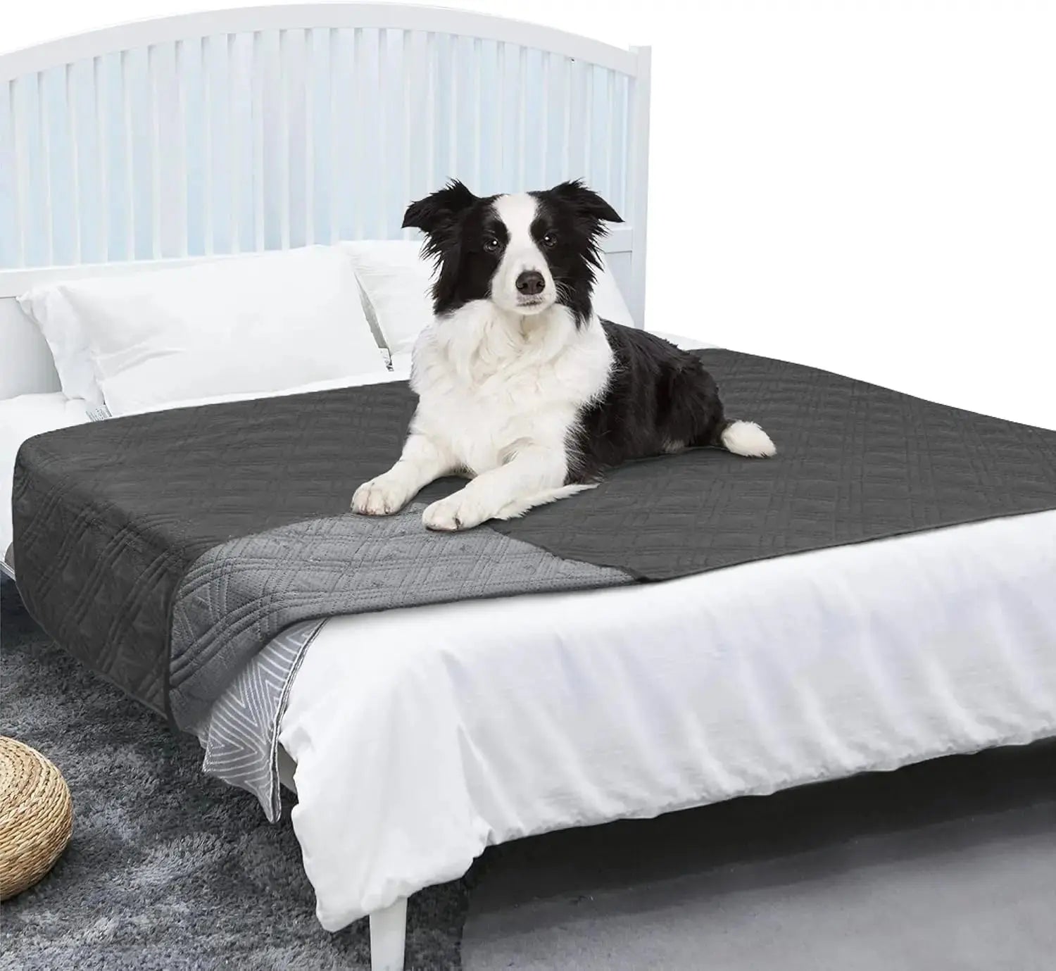 Waterproof Pet Couch Cover Reversible Furniture Protector for Dogs & Cats Wags & Whiskers Pet Supply