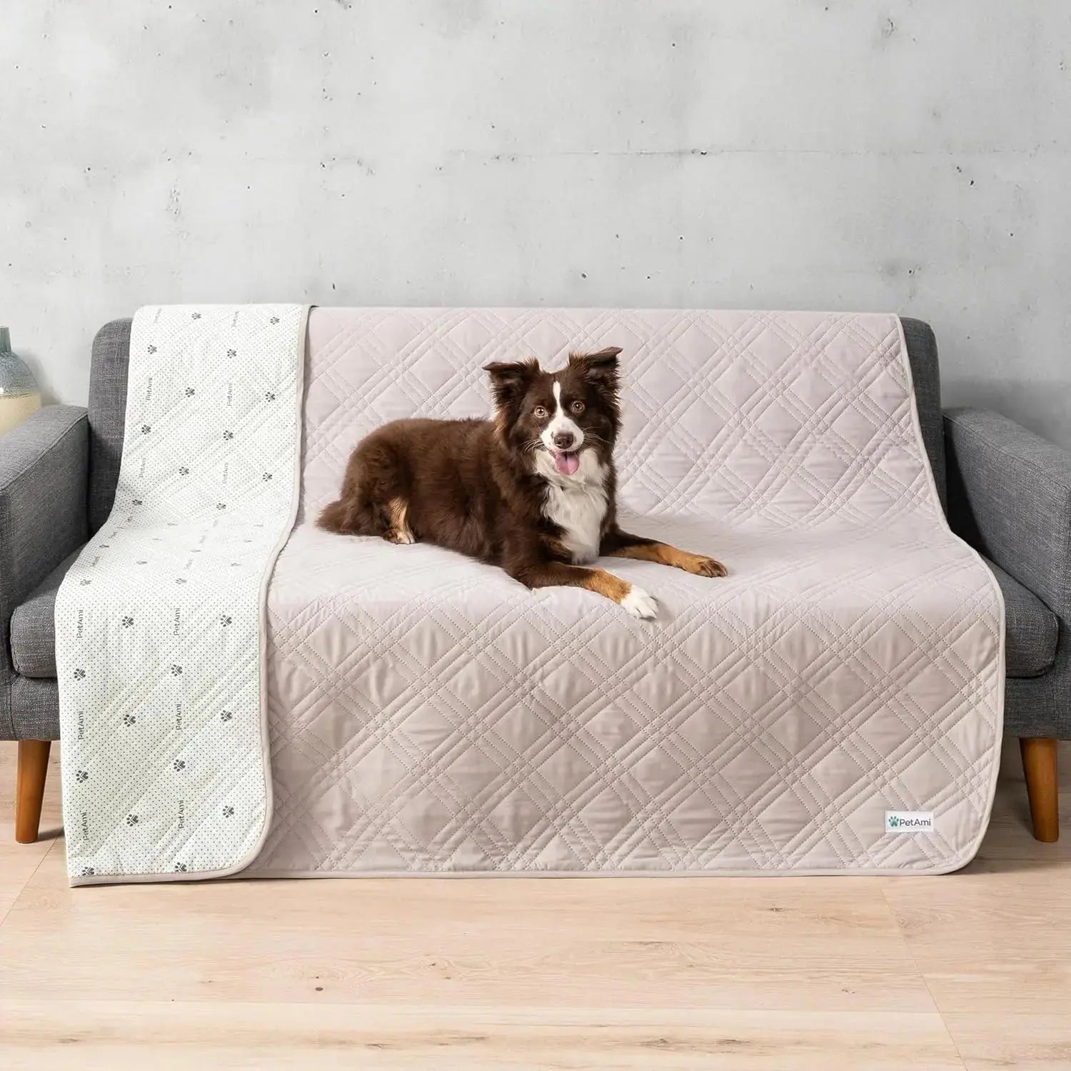 Waterproof Pet Couch Cover Reversible Furniture Protector for Dogs & Cats Wags & Whiskers Pet Supply
