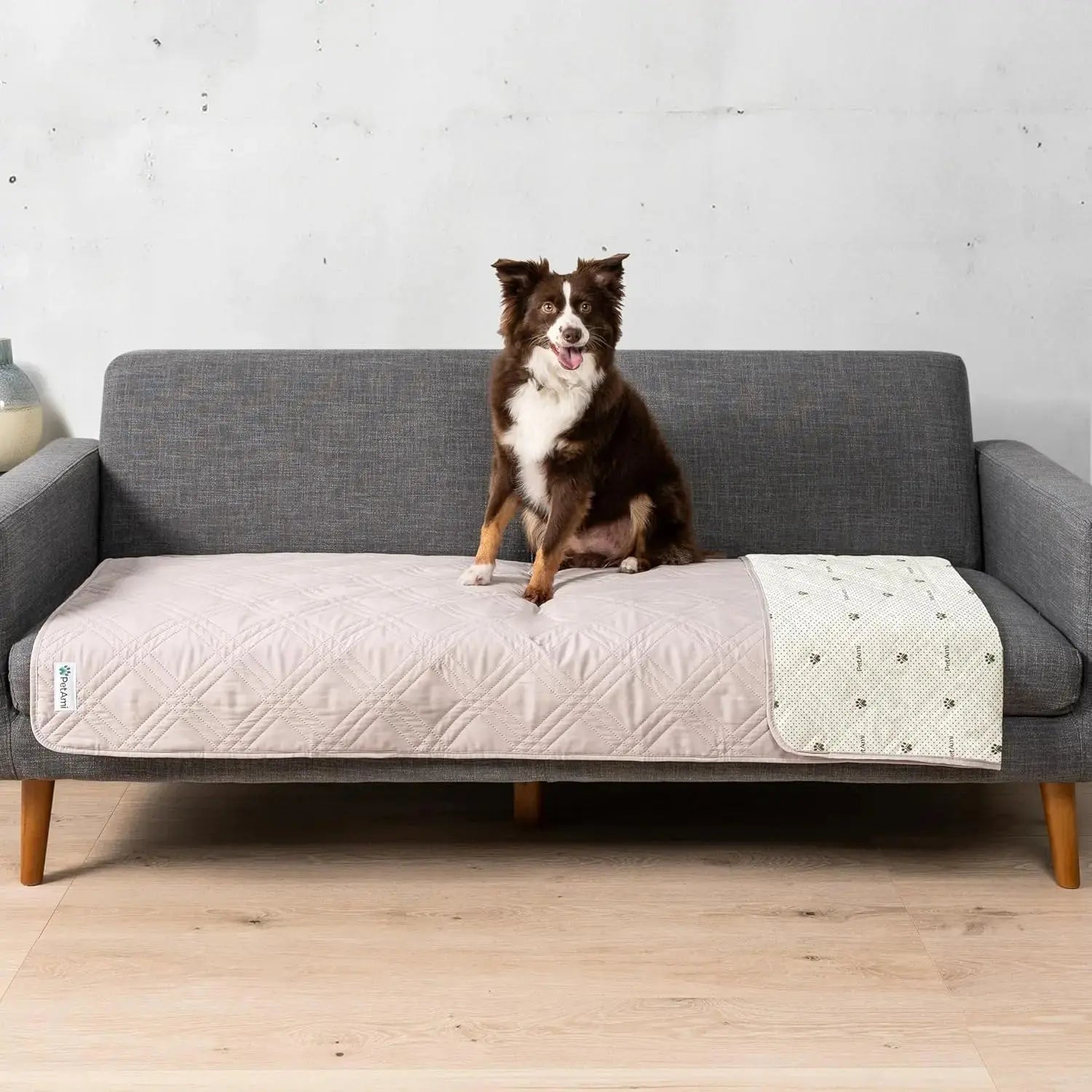 Waterproof Pet Couch Cover Reversible Furniture Protector for Dogs & Cats Wags & Whiskers Pet Supply
