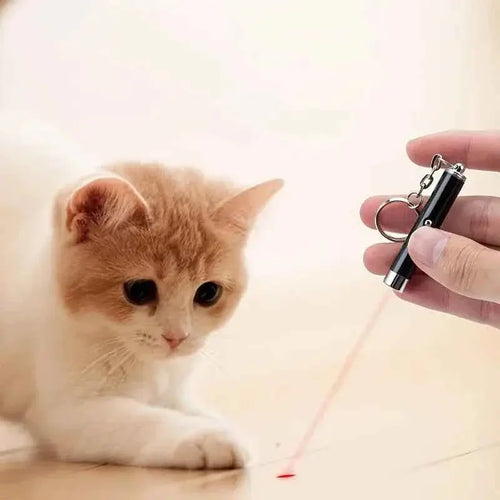 Cat Laser Pointer Toy WTN Essentials