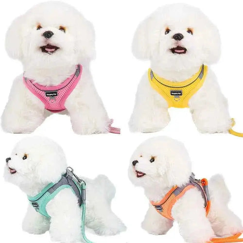 Adjustable Dog Harness & Leash Set for Small Dogs – Comfortable & Safe Walking Gear WTN Essentials