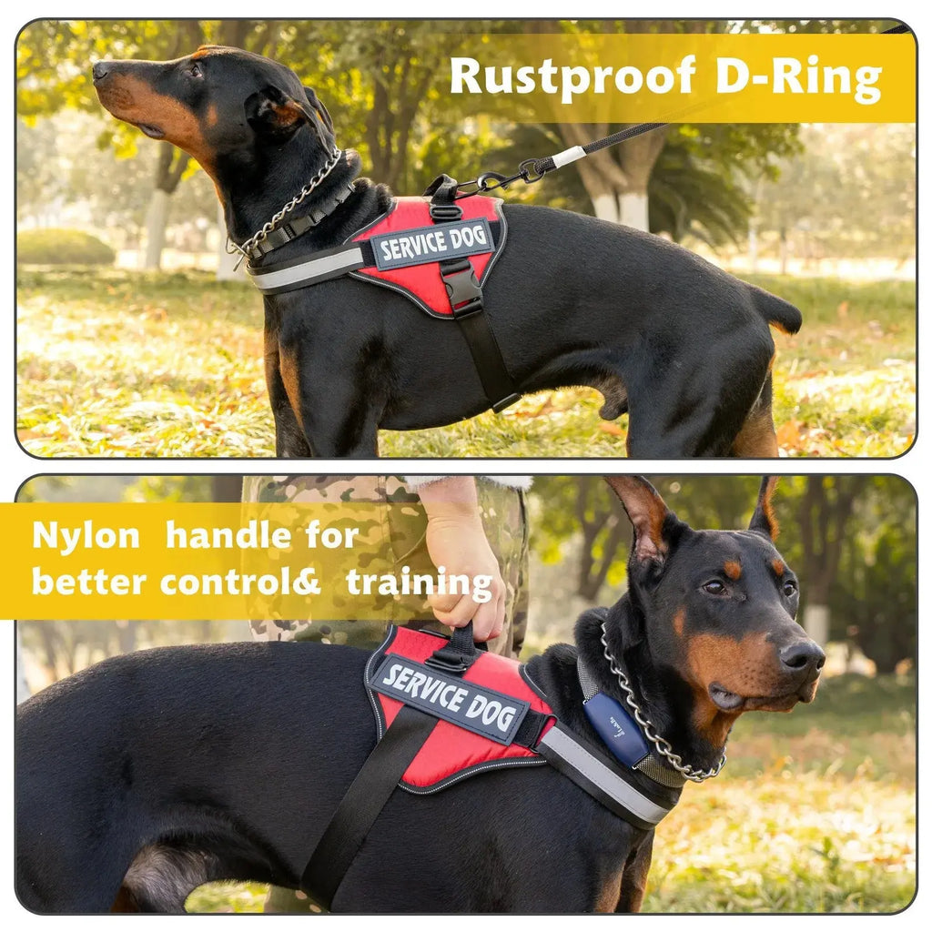 Chest Strap Dog Vest Harness for Medium and Large Dogs, Border Collie, Golden Retriever, Explosion-Proof Dog Harness - FurrBaby Necessities
