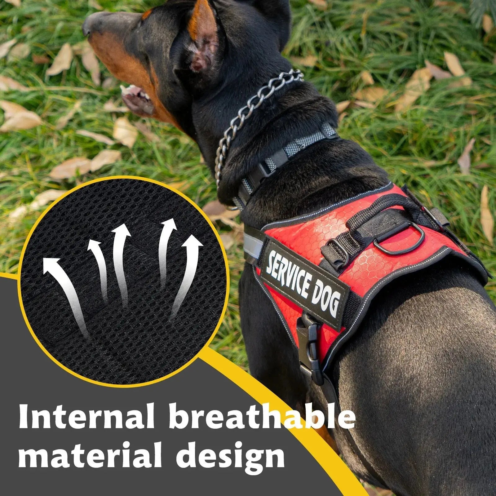 Chest Strap Dog Vest Harness for Medium and Large Dogs, Border Collie, Golden Retriever, Explosion-Proof Dog Harness - FurrBaby Necessities