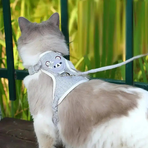 Cute Bear Vest-Style Pet Leash for Small Pets by WTN Essentials