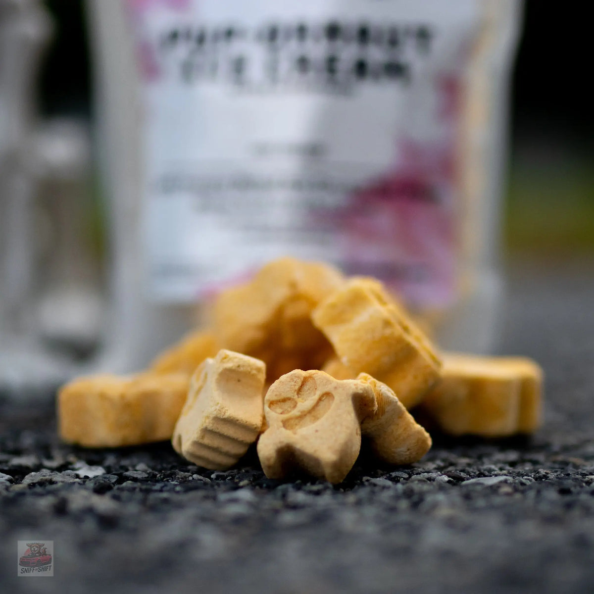 Pup-Ornaut Freeze-Dried Dog Ice Cream: Pumpkin & Apple Sniff and Shift