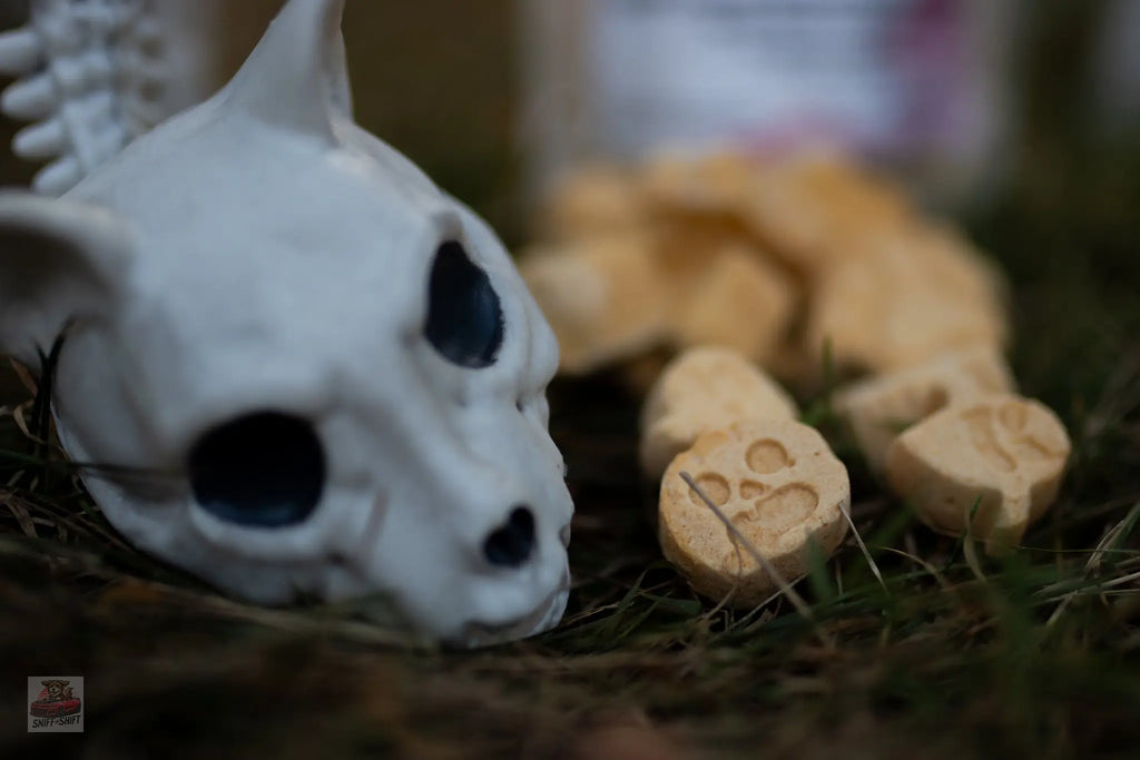 Pup-Ornaut Freeze-Dried Dog Ice Cream: Pumpkin & Apple Sniff and Shift