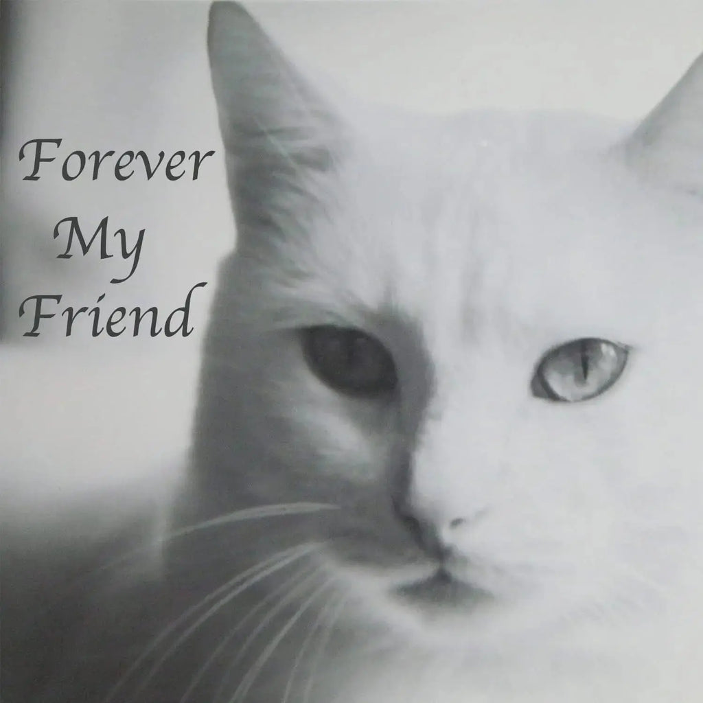 Stainless Steel Pet Memorial Urn for Cats & Small Dogs with Secure Lid Keepsake Wags & Whiskers Pet Supply
