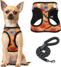 Step-In Dog Harness & Leash Set in Various Patterns – Reflective No Pull (XS- XL) Wags & Whiskers Pet Supply