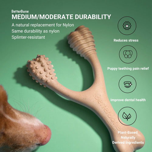 BetterBone MODERATE Durability CHEW TOY: Perfect Chew for Everyday Chewers | Naturally Derived Ingredients, Eco-Friendly, Non-Toxic BetterBone All Natural Eco-Friendly Dog Chews & Bones