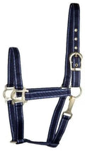 Gatsby Nylon 2-Tone Halter by StateLineTack