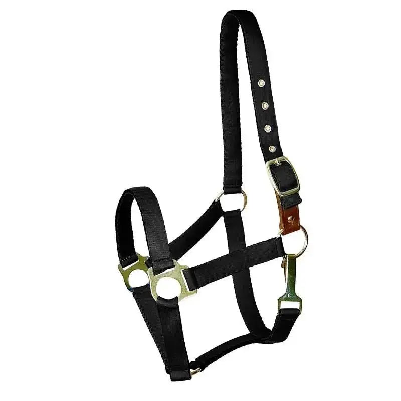 Gatsby Nylon Safety Breakaway Halter by StateLineTack