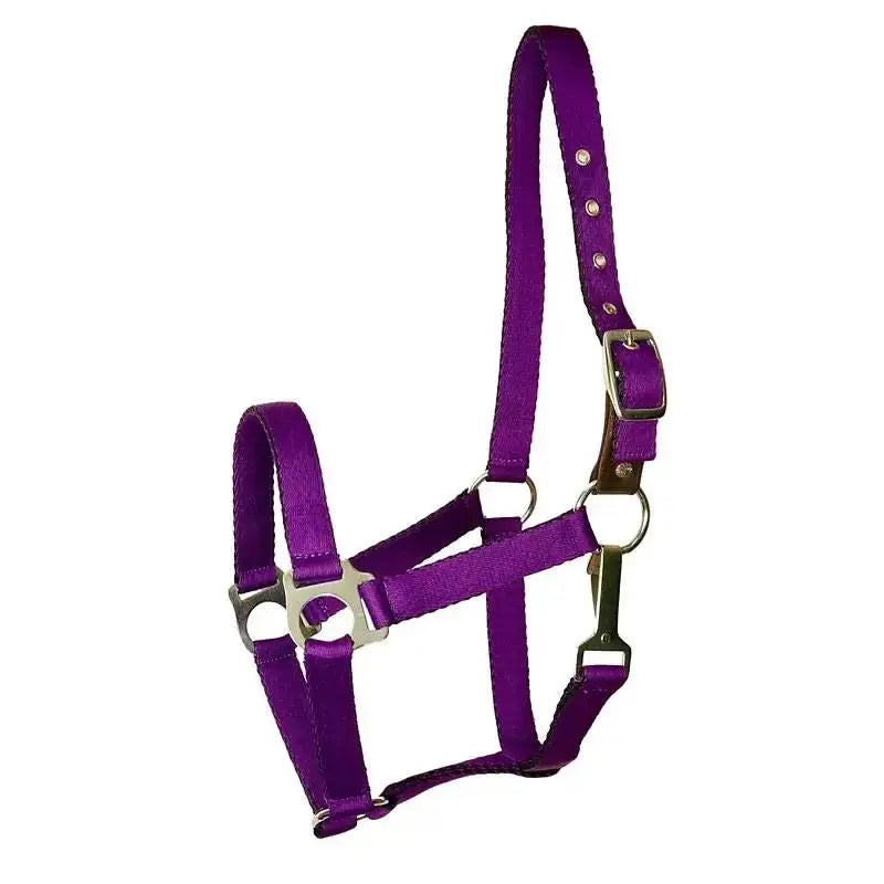 Gatsby Nylon Safety Breakaway Halter by StateLineTack