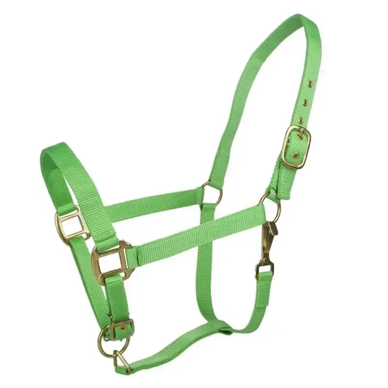 Tabelo Nylon Halter with Adj Chin by StateLineTack