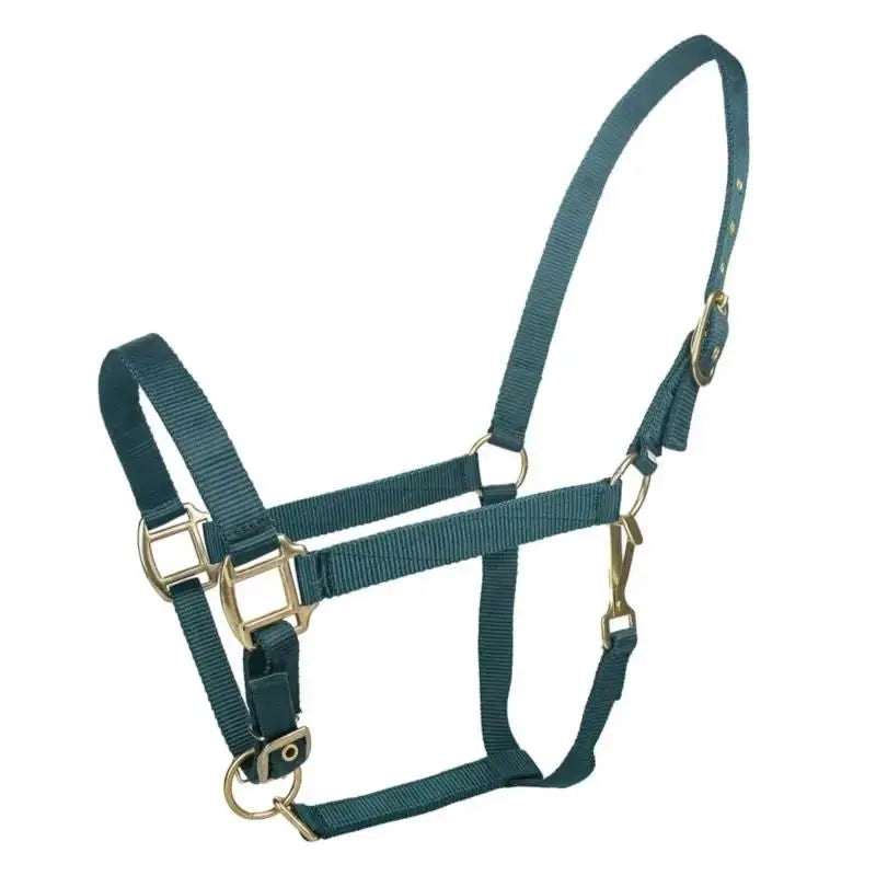 Tabelo Nylon Halter with Adj Chin by StateLineTack