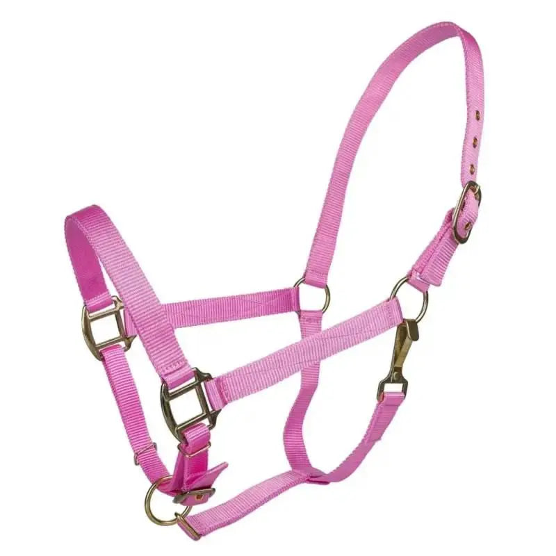 Tabelo Nylon Halter with Adj Chin by StateLineTack