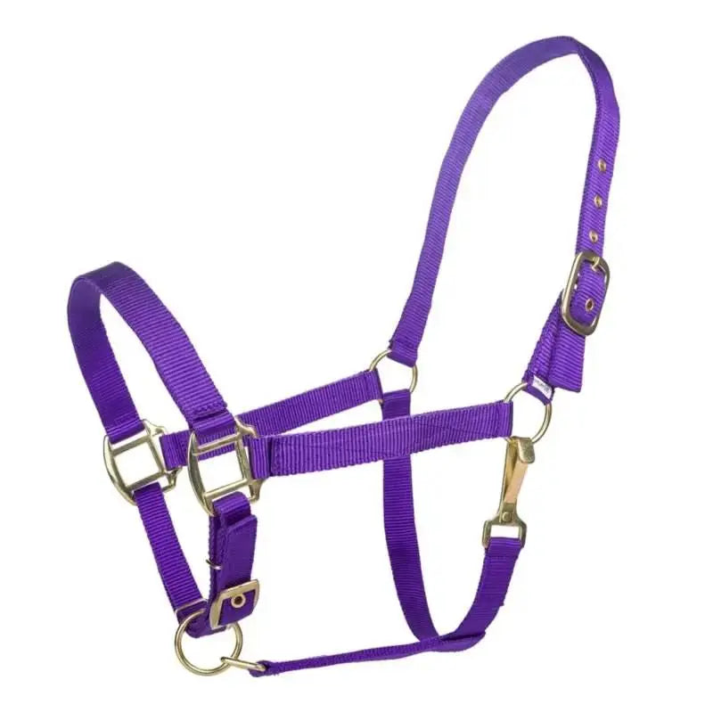 Tabelo Nylon Halter with Adj Chin by StateLineTack