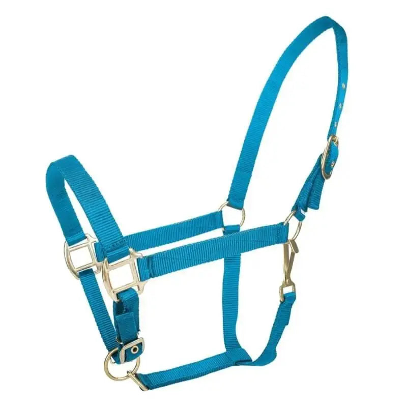 Tabelo Nylon Halter with Adj Chin by StateLineTack