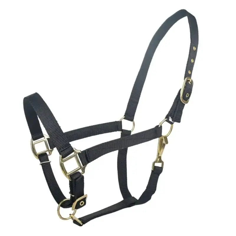 Tabelo Nylon Halter with Adj Chin by StateLineTack