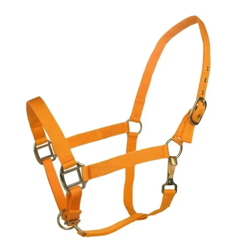 Tabelo Nylon Halter with Adj Chin by StateLineTack