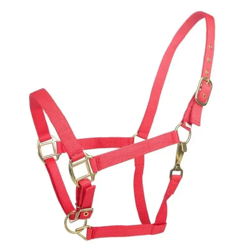 Tabelo Nylon Halter with Adj Chin by StateLineTack